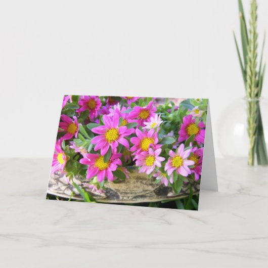 Kleine Pinks Karte (Vorderseite)