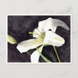 Kleine Postkarte 4,25 Zoll x 5,6 Zoll