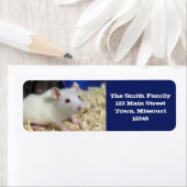 Kleine Ratte (Insitu)