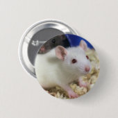 Kleine Ratte Button (Vorne & Hinten)