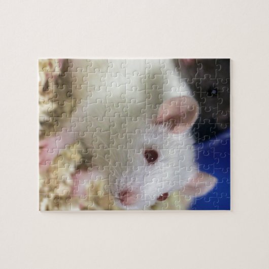 Kleine Ratte Puzzle (Horizontal)