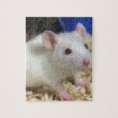 Kleine Ratte Puzzle (Vertikal)