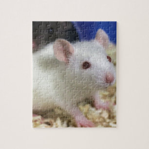 Kleine Ratte Puzzle
