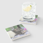 Kleine Ratte Steinuntersetzer (Seitenansicht)