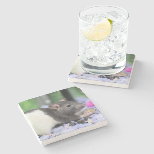 Kleine Ratte Steinuntersetzer (Seitenansicht)