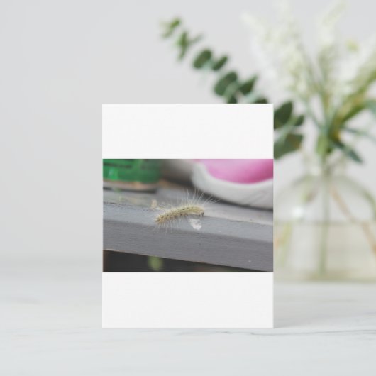 Kleine Raupe Postkarte (Stehend Vorderseite)