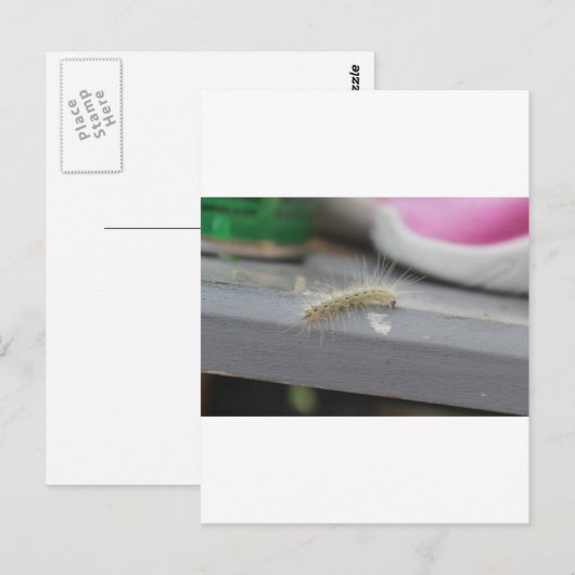 Kleine Raupe Postkarte (Vorne/Hinten)