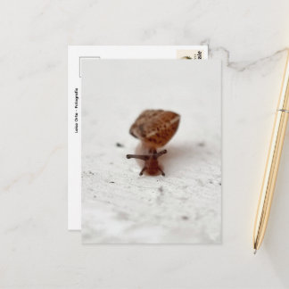 Kleine Reise – Schnecke auf hellem Grund Postkarte