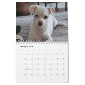 Kleine Rettung Hunde 12-monatiger Kalender (Jan 2026)