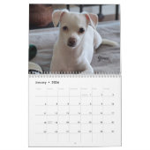Kleine Rettung Hunde 12-monatiger Kalender (Jan 2026)