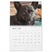 Kleine Rettung Hunde 12-monatiger Kalender (Feb 2027)