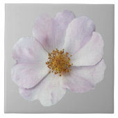 Kleine rosa Blume Fliese (Vorderseite)