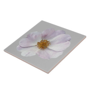 Kleine rosa Blume Fliese
