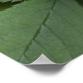 kleine rosa Blume Poster (Ecke)