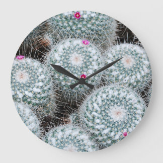 Kleine rosa Blüten Kaktuspflanzen Große Wanduhr