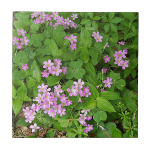 Kleine, rosa, delikate Wildblumen Fliese