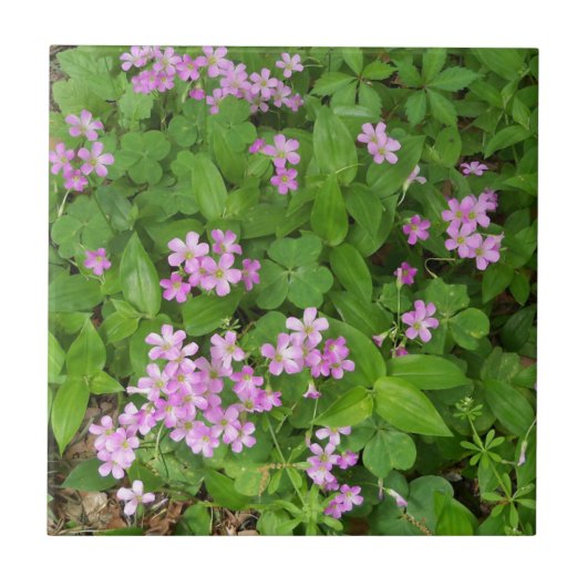 Kleine, rosa, delikate Wildblumen Fliese (Vorderseite)