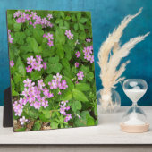 Kleine, rosa, delikate Wildblumen Fotoplatte (Seite)