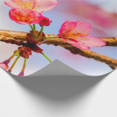 Kleine, rosa Sakura Schönheit im Frühling Geschenkpapier (Ecke)