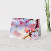 Kleine rosa Sakura Schönheit im Frühling Karte (Vorderseite)