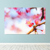 Kleine rosa Sakura Schönheit im Frühling Leinwanddruck (Insitu (Holzboden))