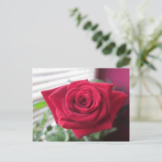Kleine Rose Postkarte (Stehend Vorderseite)