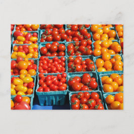 Kleine Rot- und OrangenTomaten Postkarte