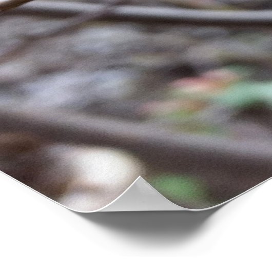 kleine rote Blume Poster (Ecke)