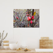 kleine rote Blume Poster (Küche)