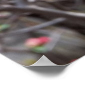 kleine rote Blume Poster (Ecke)