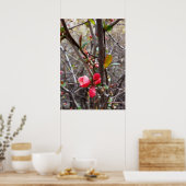 kleine rote Blume Poster (Küche)