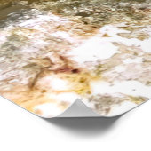 Kleine rote Fische Poster (Ecke)