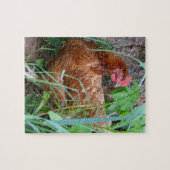 Kleine rote Henne im Gras Puzzle (Horizontal)