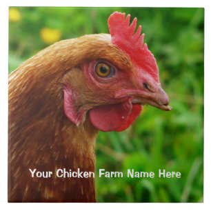 Kleine rote Legehenne - RIR oder ISA Brown Huhn Fliese