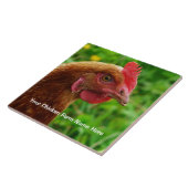 Kleine rote Legehenne - RIR oder ISA Brown Huhn Fliese (Seite)