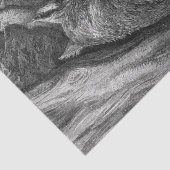 Kleine rote Reithose trifft alten Vater Wolf Seidenpapier (Detail)