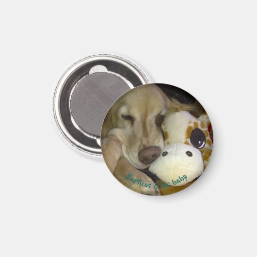 Kleine, runde Barticus und Giraffe Magnet (Vorderseite/Rückseite)