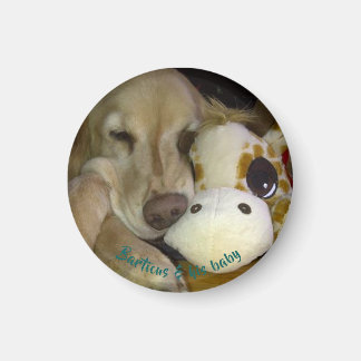 Kleine, runde Barticus und Giraffe Magnet