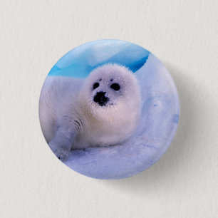 Kleine Sattelrobbenjunge bedeckt mit Schneeflocken Button