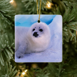 Kleine Sattelrobbenjunge bedeckt mit Schneeflocken Keramikornament