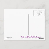 Kleine Schätze Postkarte (Rückseite)