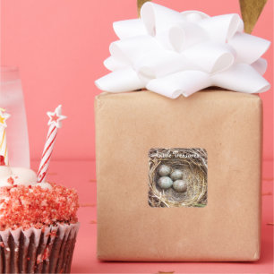 Kleine Schätze Vogelnest Eier Foto Quadratischer Aufkleber