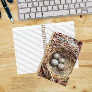 Kleine Schätze Vogelnest-Eier Notizblock
