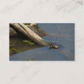 Kleine Schildkröte auf einem Stein Visitenkarte (Rückseite)