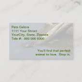 Kleine Schildkröte auf einem Stein Visitenkarte (Vorderseite)