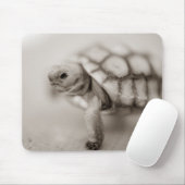Kleine Schildkröte Mousepad (Mit Mouse)