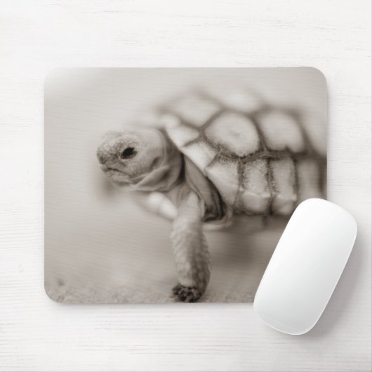 Kleine Schildkröte Mousepad (Mit Mouse)