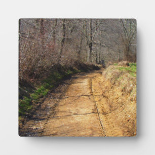 Kleine Schmutz-Land-Straße Fotoplatte