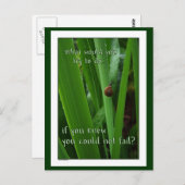 Kleine Schnecke "Wenn du nicht versagt werden könn Postkarte (Vorne/Hinten)