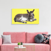 Kleine Schokolade Esel Babyfohlen ablegen Leinwanddruck (Insitu (Wohnzimmer))